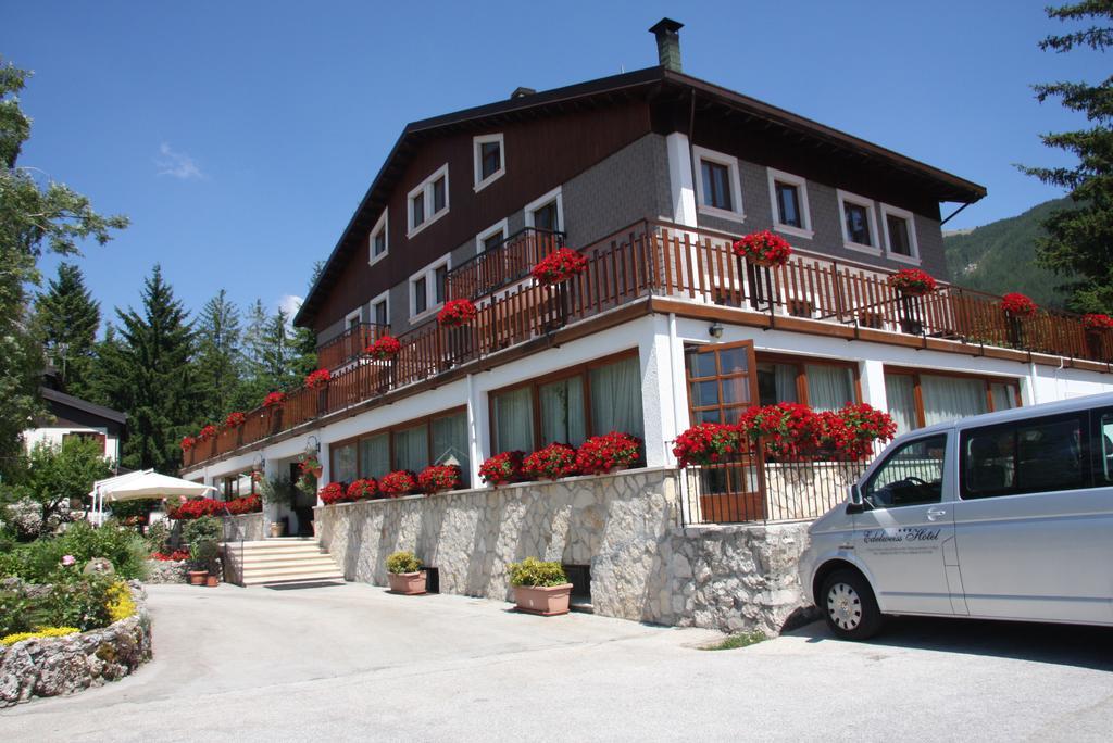 Hotel Edelweiss 佩斯卡塞罗利 外观 照片