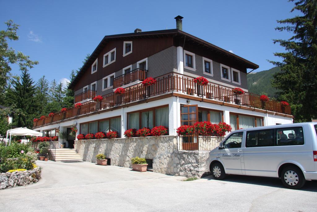 Hotel Edelweiss 佩斯卡塞罗利 外观 照片